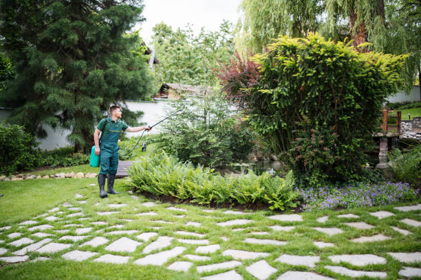 Best Local Pest Control Services  in Seffner, FL