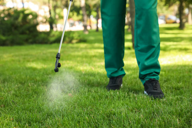 Best Residential Pest Control  in Seffner, FL