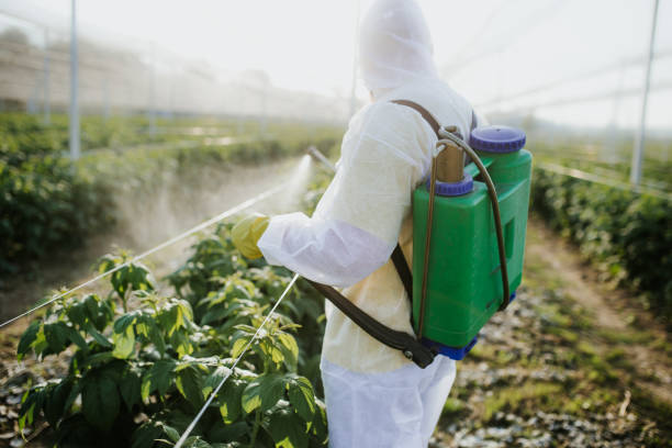 Best Mosquito Control Services  in Seffner, FL